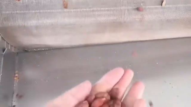 Печь конвейерная универсальная для жарки продуктов: P.F.M.G.-компани. смотреть онлайн