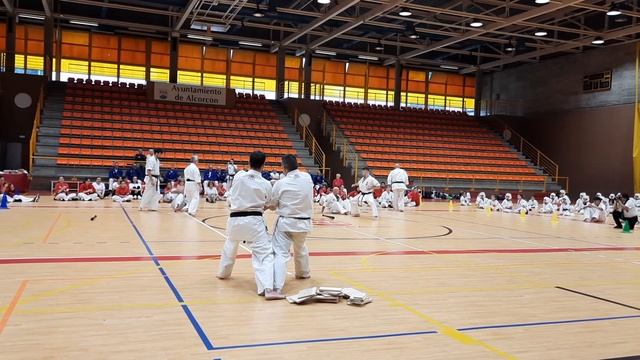 2023 06 09 Shihan Jesús Talán - Kyokushin Kanku Tameshiwari Shihan - Senpai Talán смотреть онлайн
