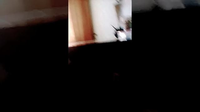 Алина Туманова смотреть онлайн