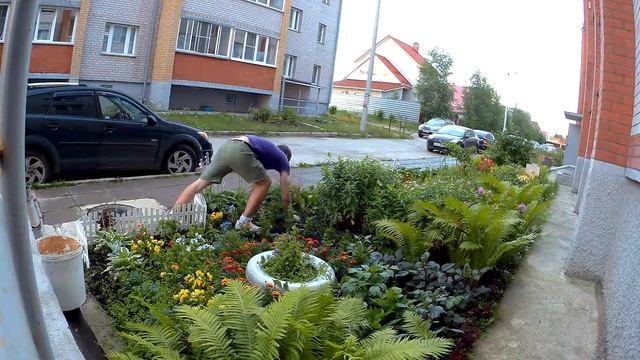Чистка клумбы смотреть онлайн