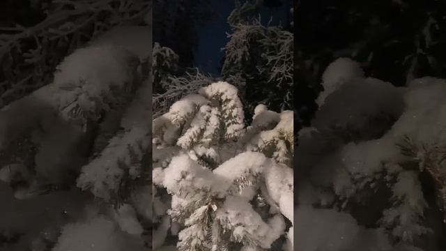 МАЛЕНЬКОЙ ЁЛОЧКЕ НРАВИТСЯ В ЛЕСУ....... смотреть онлайн