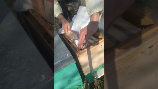 20 02 2023 Просмотр двухматочных семей в 10 рамчном улье и утепление смотреть онлайн