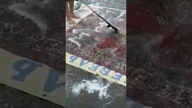 Новый способ помыть ковёр