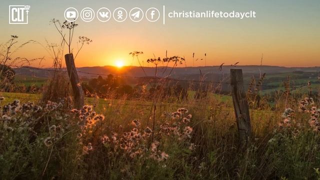 Я в отчаянии, Господи, ответь мне! | Псалом 54 | Библия смотреть онлайн