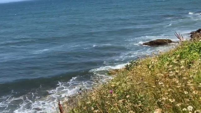 Мой первый влог с Америки 🇺🇸 смотреть онлайн