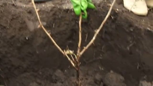 Дневник садовода-огородника 30.09.14 (16+) смотреть онлайн