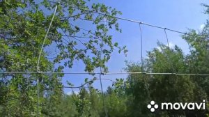 Установка шарнирной сетки: что это изделие ограждение больших территорий оцинкованная для забора.