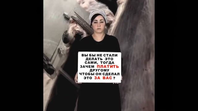 Кто любит животных не ест их смотреть онлайн