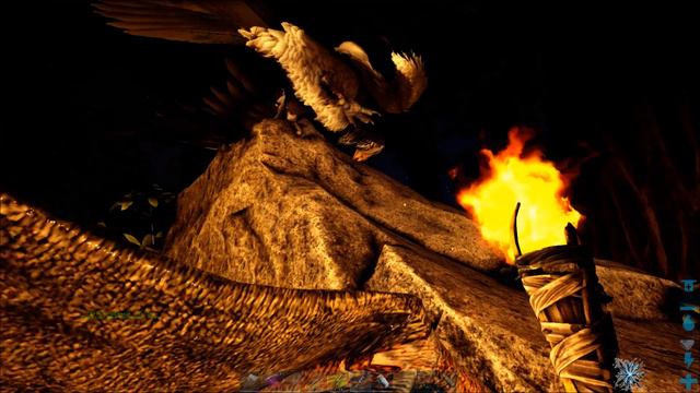 ARK Survival Evolved - лезу в пещеру в поисках потерявшейся пьяной кошки #24 смотреть онлайн