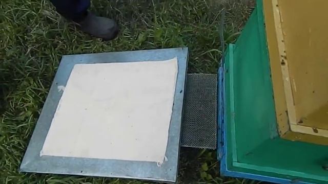 искусственное роение - продолжение.ВОЗВРАЩАЕМ РОЙ ЧЕРЕЗ ЛИТОК смотреть онлайн