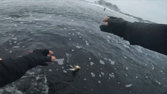 Как бы не к месту: Tenkara NISSIN Pro Square 320