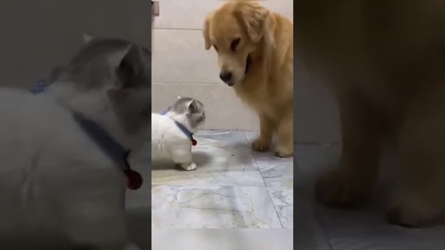 Маленький, но дерзкий смотреть онлайн