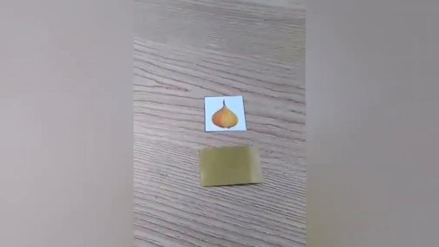 Логопедические занятия "Деления слов на слоги" смотреть онлайн