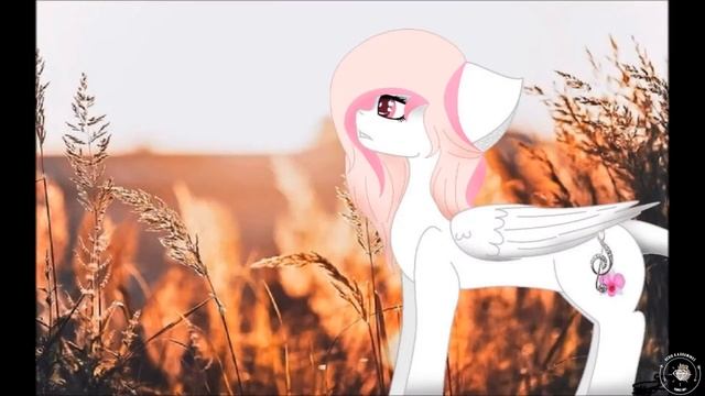 •●Я и рисование на компьютере Деревянная свадьба 5 лет●• смотреть онлайн