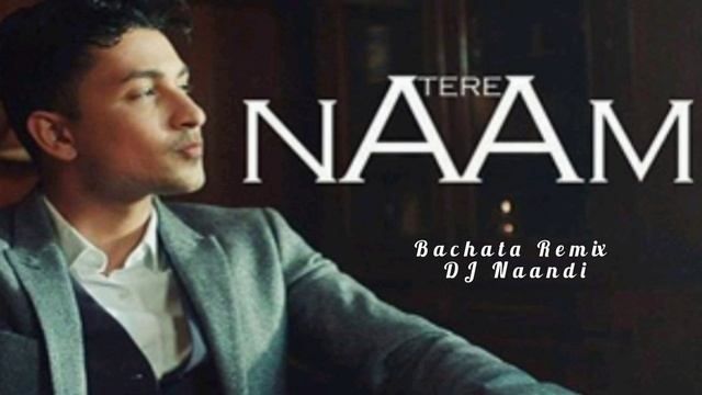 Tere Naam |Zack Knight |Bollywood Bachata | Hindi Bachata | Remix-DJ Naandi смотреть онлайн