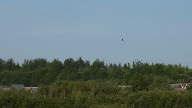 № 1455 27 06 2021 Полет птиц над озером смотреть онлайн