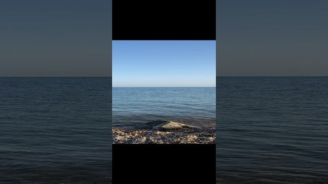 Утро на море. Вардане сегодня. #vlog #сочи смотреть онлайн