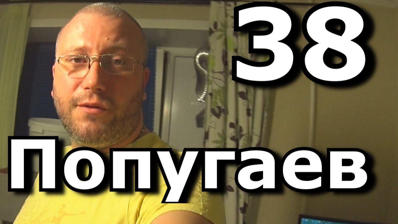 Индюшиное яйцо на пасху