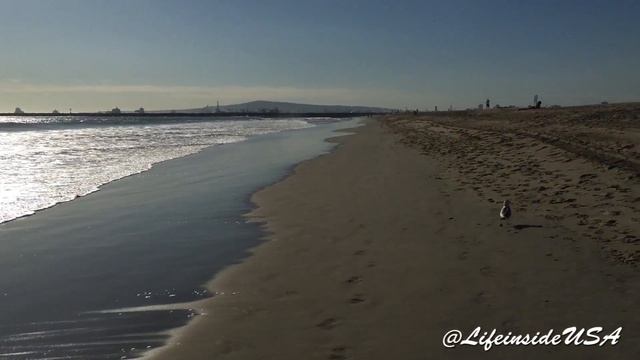 VLOG ! Калифорния : гуляем по пляжу Seal Beach Жизнь в Лос Анджелес