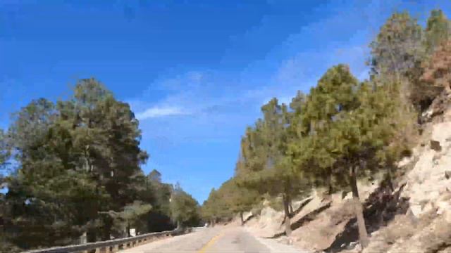 Tucson Arizona | Mount Lemmon Tour | Things To Do In Tucson, AZ смотреть онлайн