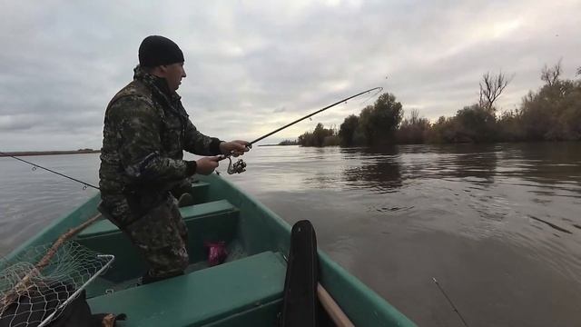 Рыбалка и охота в Астраханской области смотреть онлайн