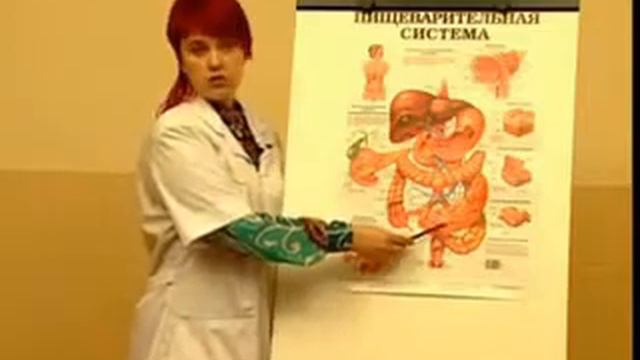 Причины по которым организм нуждается в воде 2часть Видео смотреть онлайн