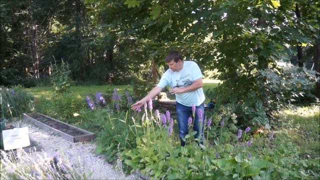 Тула. Есть Легенда... Выпуск 20. Дворяниново смотреть онлайн
