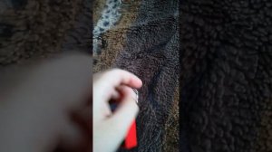 Как выключить Тамагочи