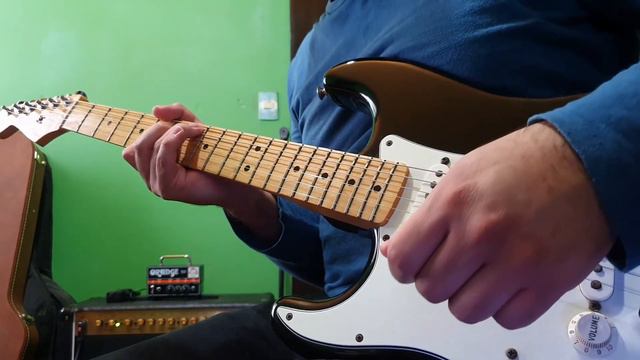 Fender Custom Shop 69 Pickups Vs Fender Standard Strat MIM Pickups