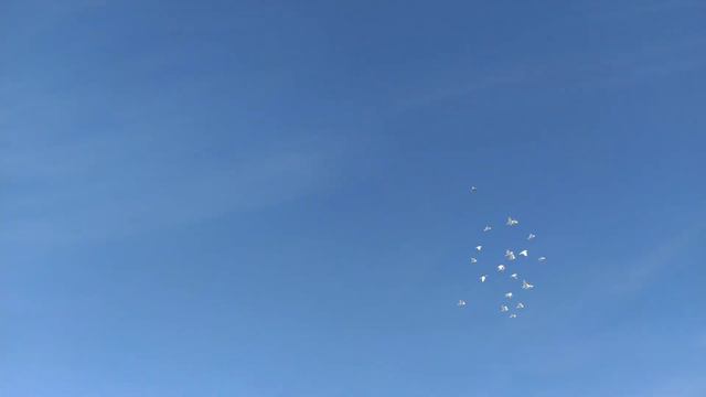 Привычка - вторая натура 🤗 смотреть онлайн