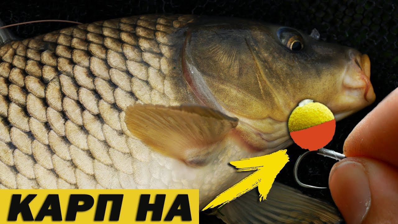 РЫБАЛКА НА КАРПА ЛЕТОМ. На что ловить карпа в жару? смотреть онлайн