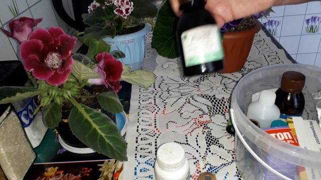 Что в моей аптечке