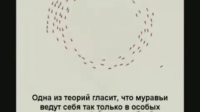 Спираль смерти смотреть онлайн