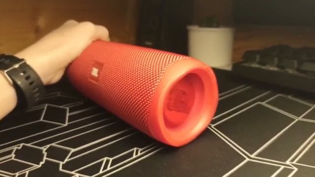 JBL Flip 5 GG | RIP COIL | Song by @rakieta6992 смотреть онлайн