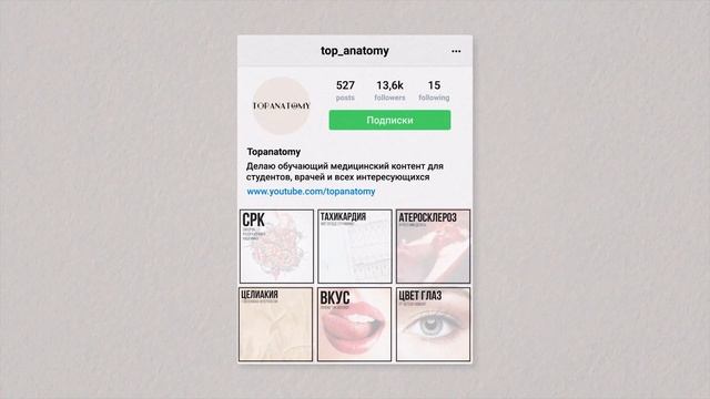 Жевательные мышцы: строение и функции смотреть онлайн