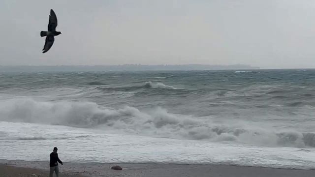 27.01.2023 STORM IN ANTALYA | ШТОРМ В АНТАЛИИ | ANTALYA'DA FIRTINA смотреть онлайн