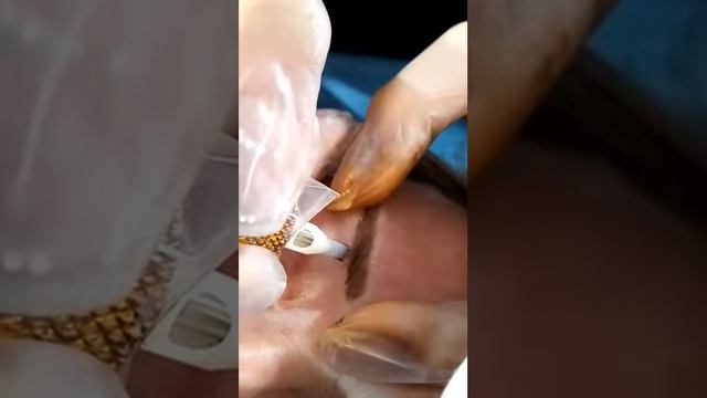 Ната бойко татуаж полтава.Игла магнум. волосковая техника. Брови волосками.машинка аксенова смотреть онлайн