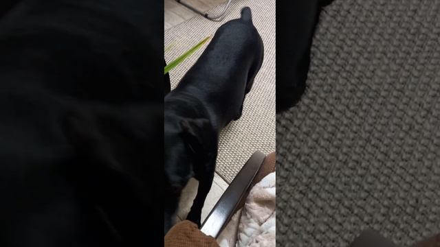 Как делишки у мальчишки?! смотреть онлайн