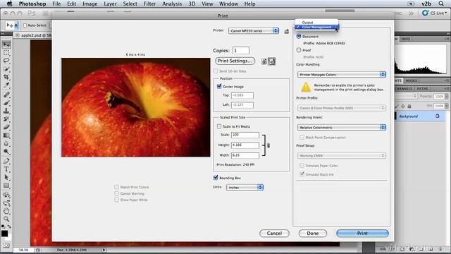 Photoshop CS5: Printing Images смотреть онлайн