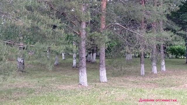 ВЕТЛУГА РЕКА, ВАРНАВИНО, КРАСНАЯ ГОРКА #дневникоптимистки #ветлуга #варнавино