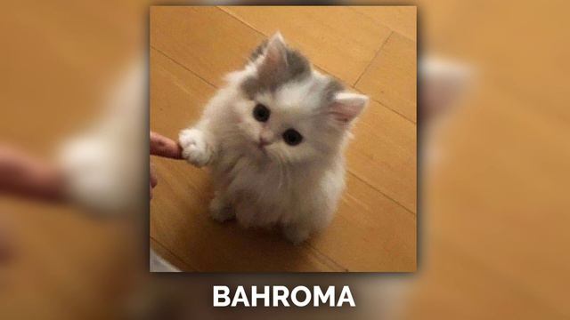 Bahroma - пока-пора (#speedupsongs)