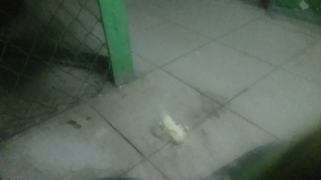 Крыса ужинает хлебом с салом смотреть онлайн