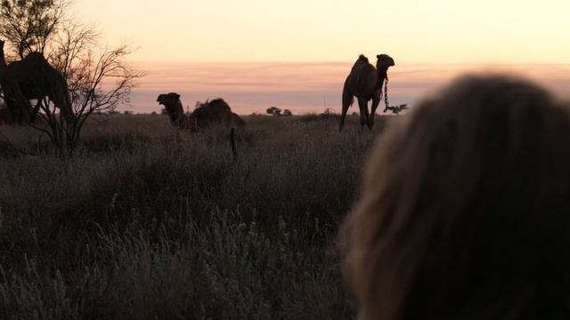 CAMEL TREK ACROSS AUSTRALIA | Ep 2: Life on the Track смотреть онлайн