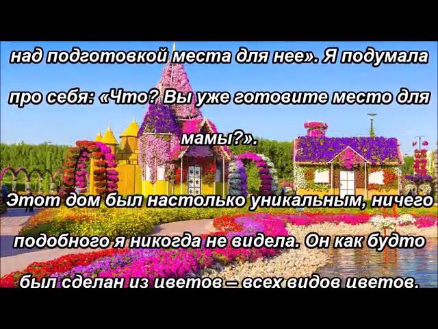 Путешествие сестры Хаддессы на Небеса – встреча с семьей