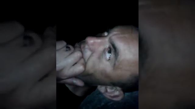 Брянский медведь смотреть онлайн