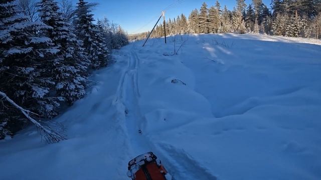 Logging Road Climb | Lynx Shredder RE Turbo смотреть онлайн