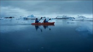 Заставки И Анонсы (Animal Planet 02.09.2023 13:35)