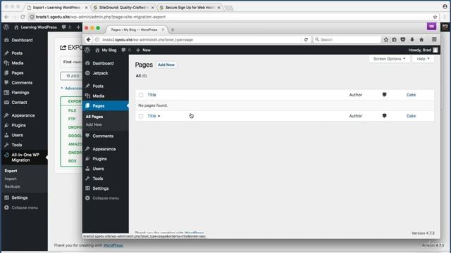 10.1 Move Entire WordPress Site Export Import смотреть онлайн