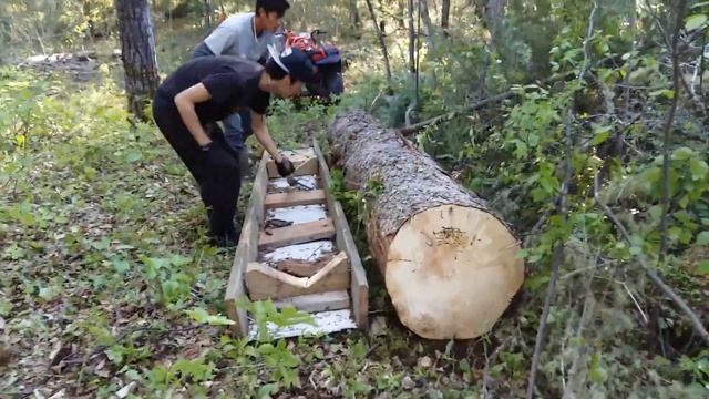 Easy way to haul logs using quad and a sled смотреть онлайн