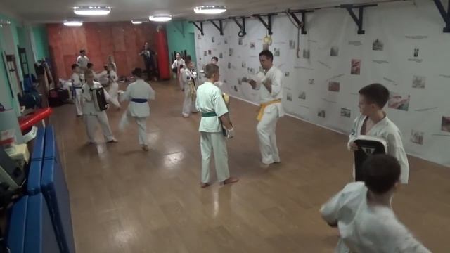 Тренировка 05 ноября 2019 года. Группа №3 Киокусинкай Каратэ Климовск смотреть онлайн